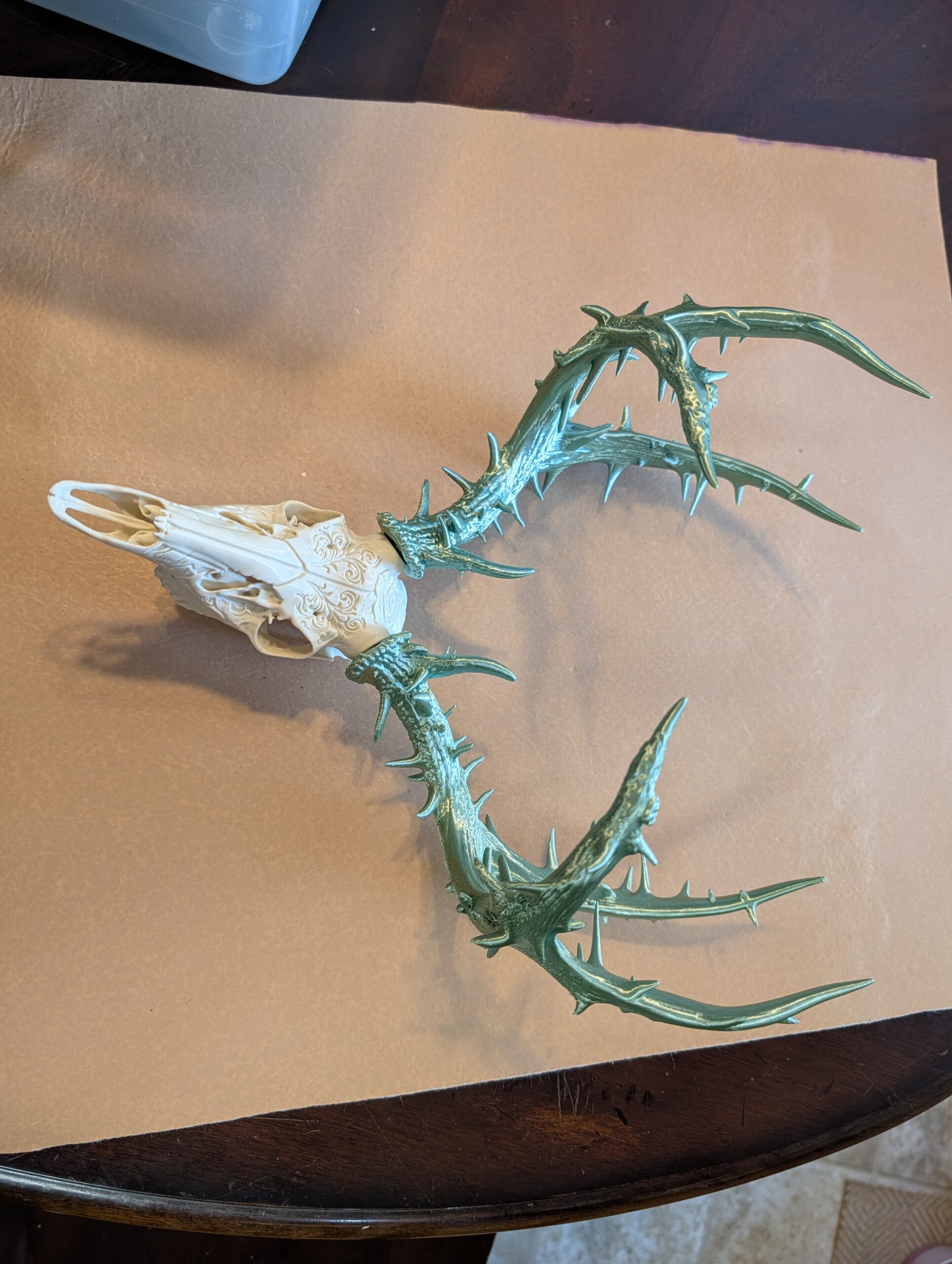 Skull Mounts