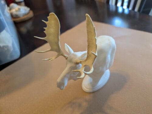 Moose Pedestal Shoulder Mount - Modular Antler BAS