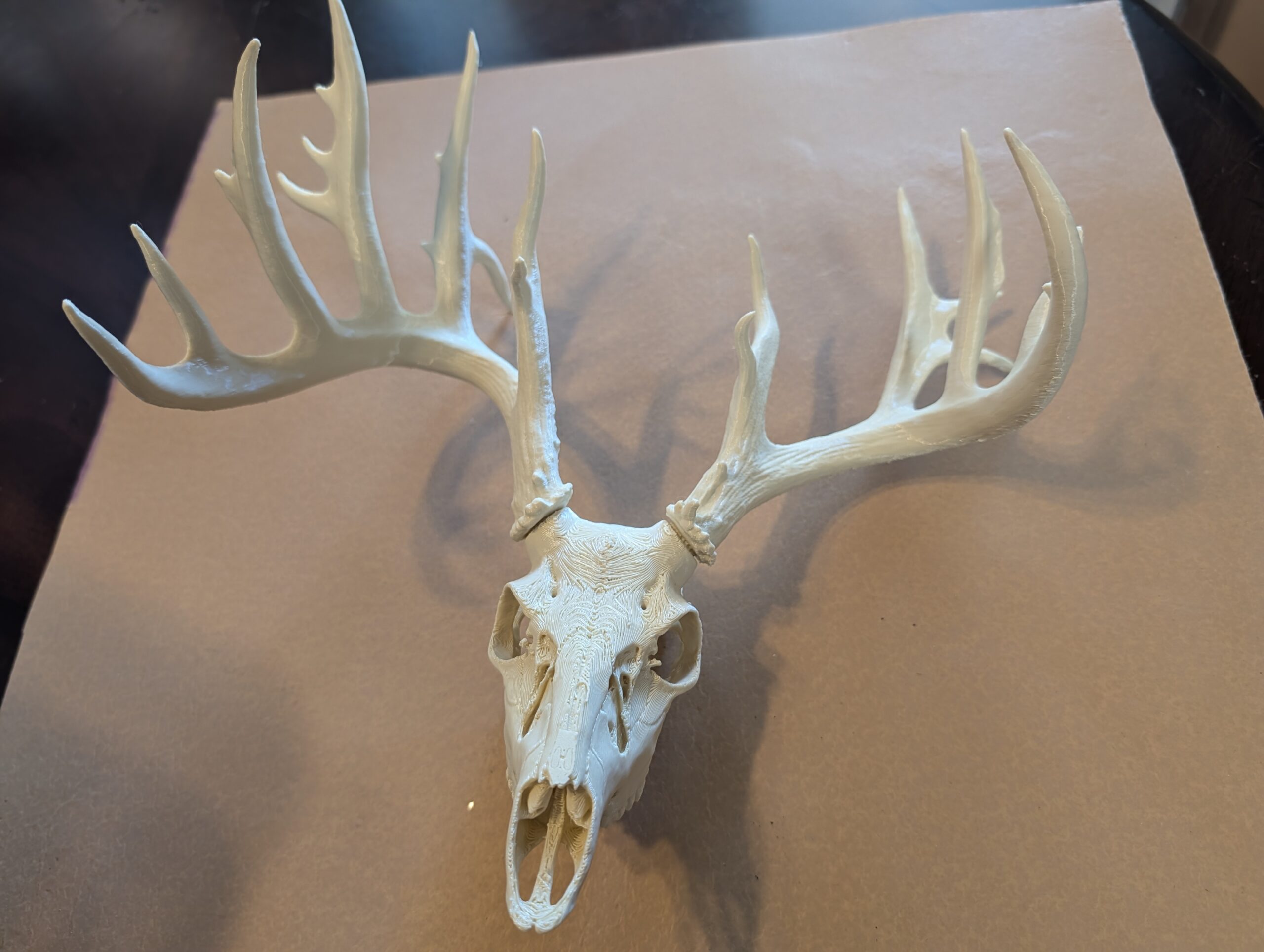 Decorative Mounts