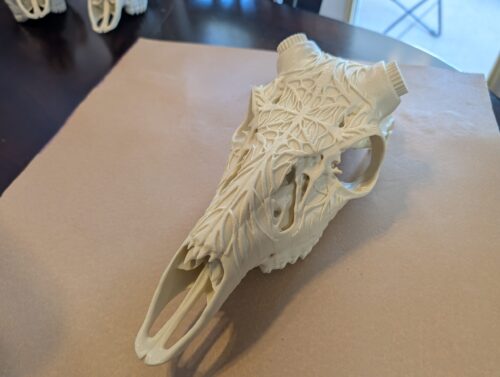 Graphic Deer Skull "Tribute" with Bullet Anchors
