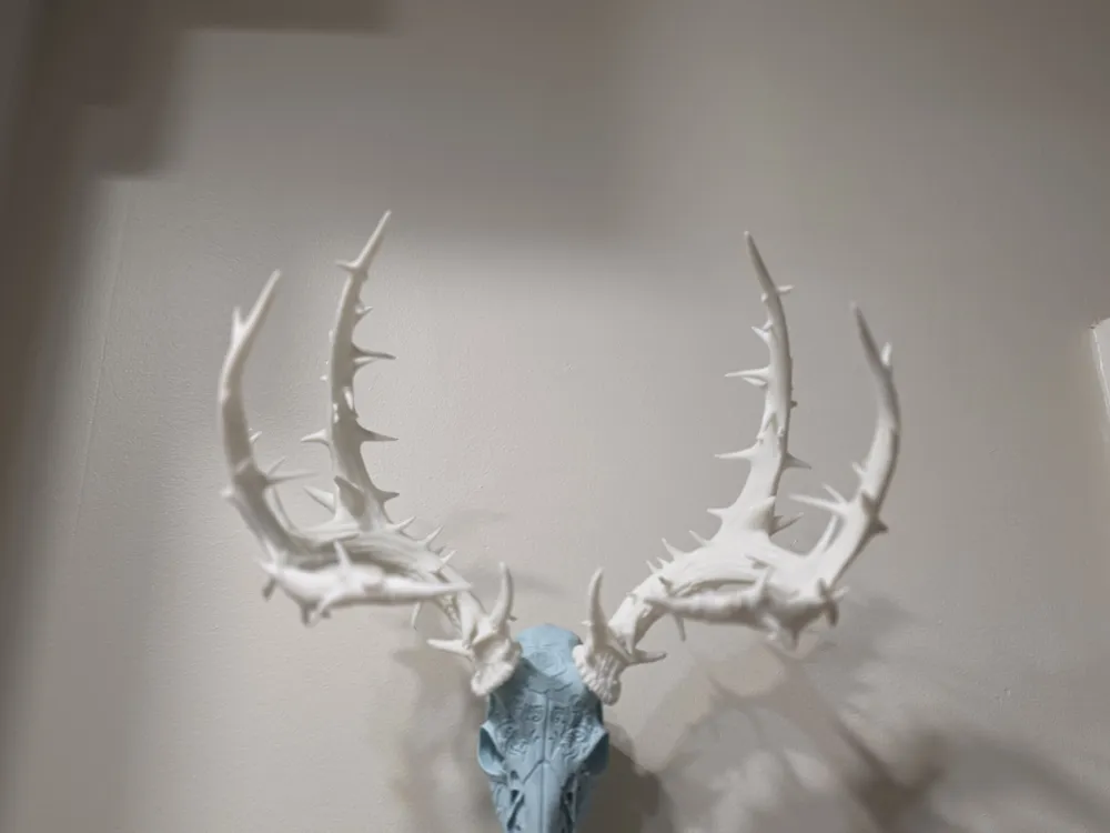 Rose & Crown of Thorns Deer Skull Mount - Image 3