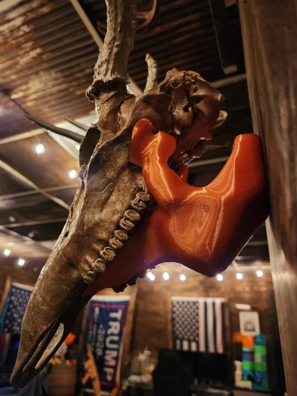 Skull Mount Wall Bracket - Image 3